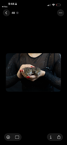 IMG_0127.png