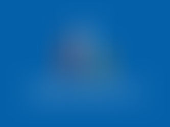 Brand Portfolio management