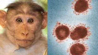 Help to find a new name for the monkeypox virus