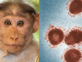 Help to find a new name for the monkeypox virus