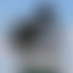 Podcast: von Landshut nach Teterow