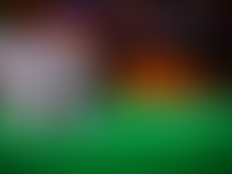 The Top Reasons to Select a Sports Toto Major Site