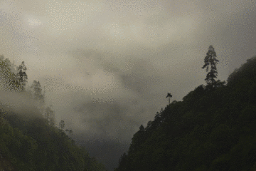 Untitled-.gif