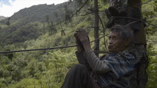 My Movie 152.gif
