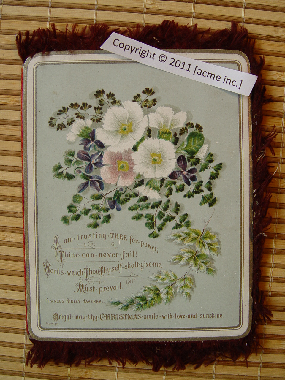 http://www.acme-inc.co.uk/greetingscards/DSC05486.jpg