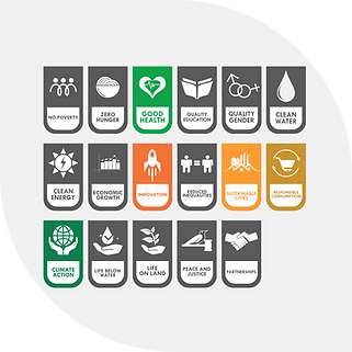 sustainable-development-goals.png