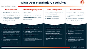 What does moral injury feel like (MIP).png