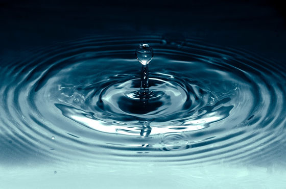 My 3 Day Water Fast
Lessons in Learning Your Body