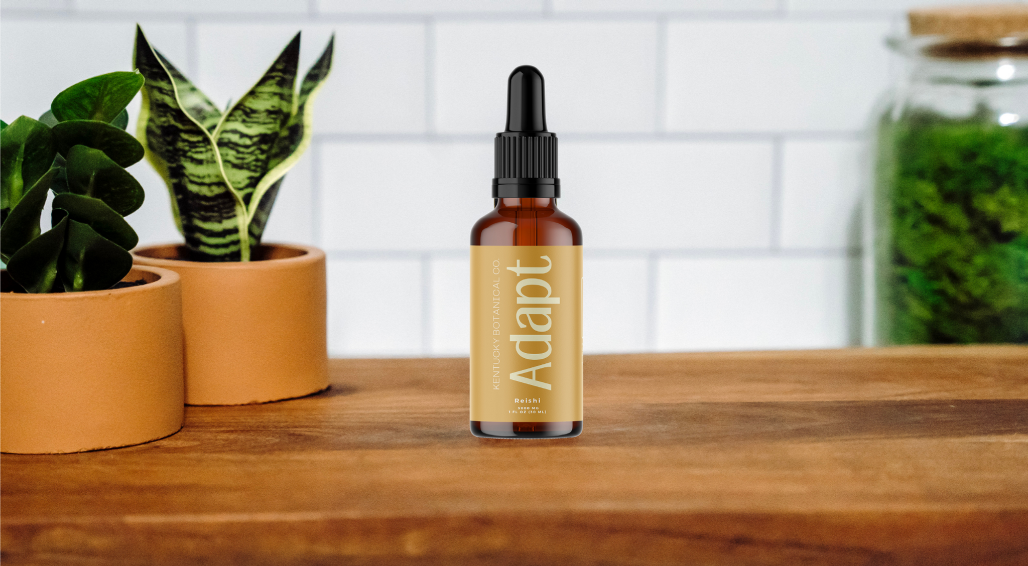 Kentucky Botanical Co. Adapt - Reishi Mushroom Extract