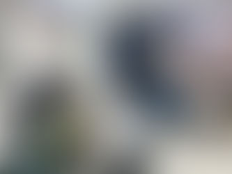 Coordenadoria LGBT de João Pessoa celebrará Dia da Visibilidade Trans em 3 de fevereiro