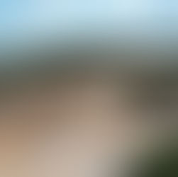 Entre selos e derrubadas: João Pessoa é "Cidade Árvore do Mundo", mas perde árvores para o concreto