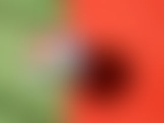 Adidas revela "Trionda" - a bola oficial da Copa do Mundo da Fifa™ de 2026