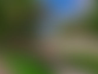 Arraiá no Parque marca lançamento da programação junina nas Três Ruas, nesse fim de semana