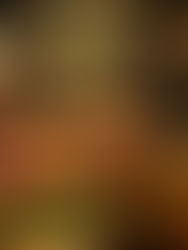 Ville des Plantes terá celebrações de Natal e Réveillon no Moman Restaurante com shows e queima de fogos