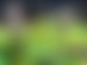 Mundial Feminino Futebol de 2027 será disputado em oito cidades brasileiras