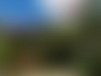 Ville des Plantes prepara programação especial para o Dia das Mães