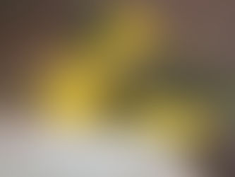 Dona Inês recebe a Rota Cultural Raízes do Brejo com gastronomia, música e vivências ao ar livre