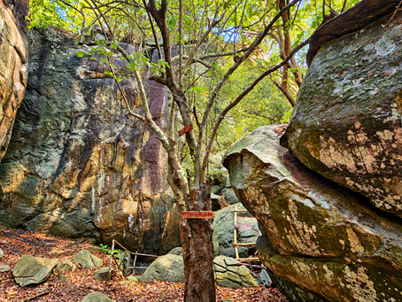 Serra da Raiz abre Rota Cultural Raízes do Brejo 2026 com programação gratuita de 9 a 12 de outubro