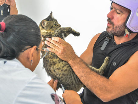Dia D de vacinação antirrábica acontece neste sábado em João Pessoa