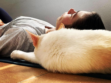 WhatsApp Image 2024-07-28 at 17.18.27.jpeg