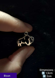 Bison