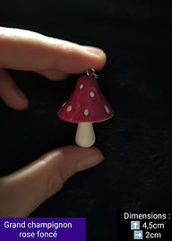 Grand champignon rose foncée