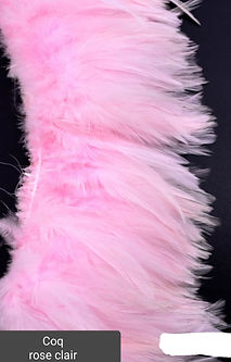 Coq rose clair.jpg
