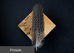 Pentade
