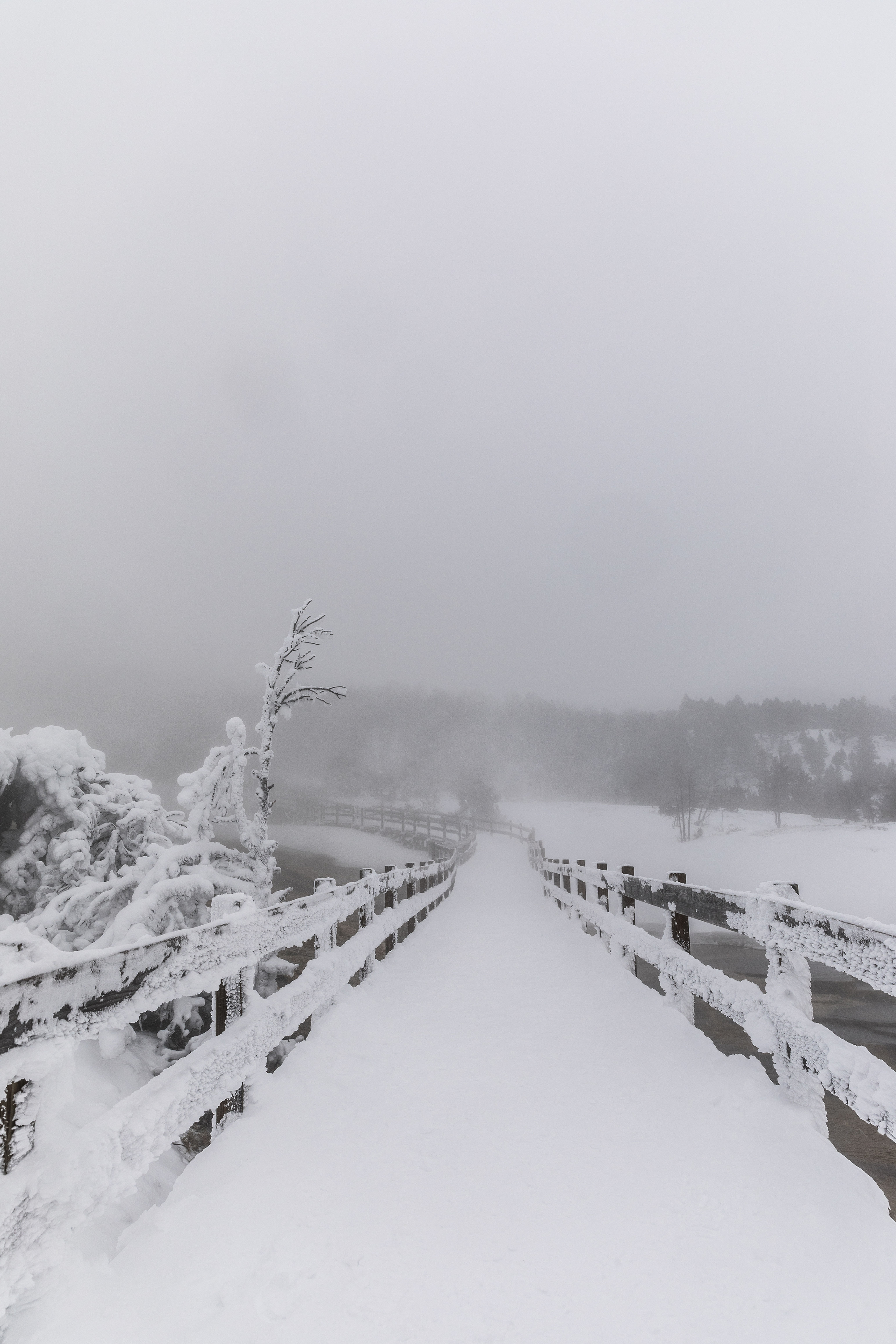Neblina y Puente con Nieve