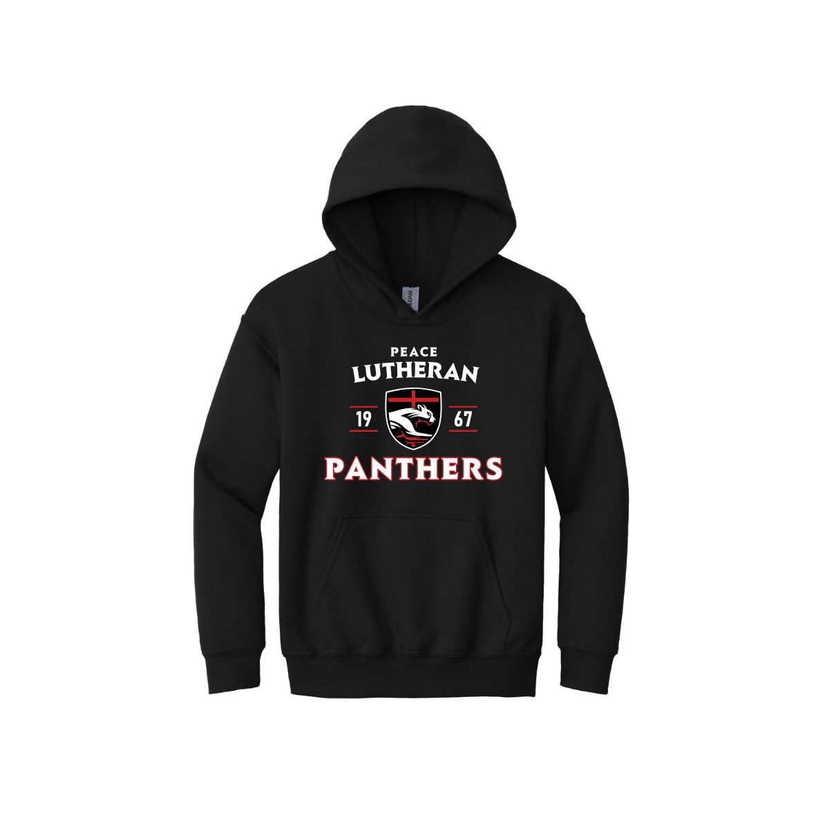Panthers Kids Fleece Hoodie