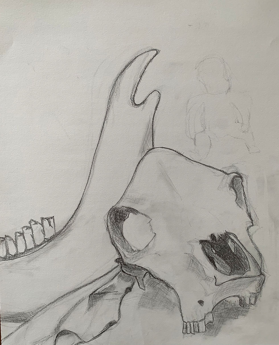 Hatching Drawing