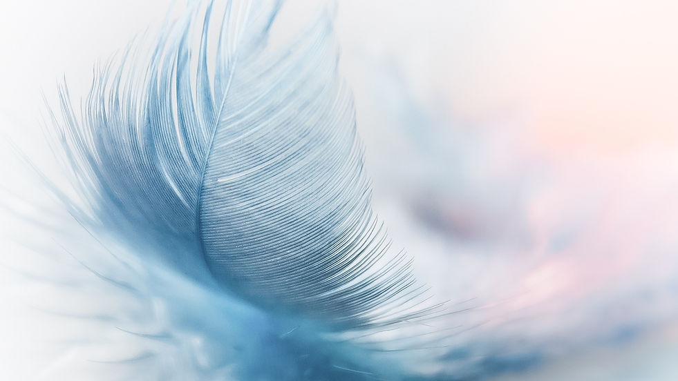featherweight-fly-wind-strauss-spring-ng-3840x2160.jpg