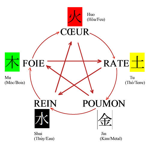 MTC - Elément Bois • Samedi 2022 -10h30/12h30 - N