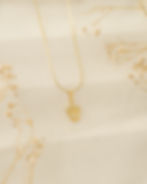 Rolex Dijes de oro laminado 18k. Dijes de oro laminado 18k. Aurus Oro Laminado 18k.