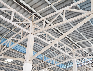 Camiseta leão rugindo simples preto laranja (1).png