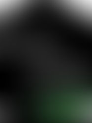 Brush