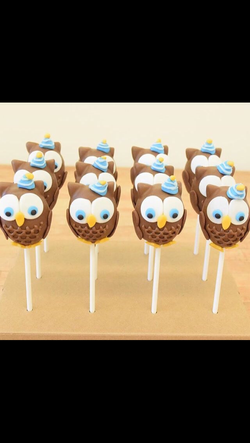Owl Pops 