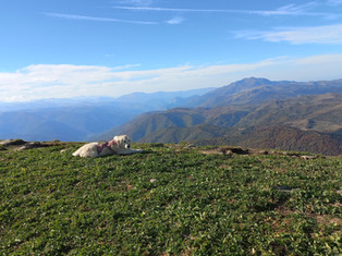 IMG-20221016-WA0022.jpeg