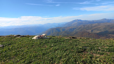 IMG-20221016-WA0022.jpeg