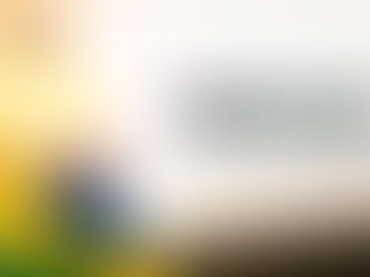 UM NOVO DIA NASCE SOBRE O BRASIL!