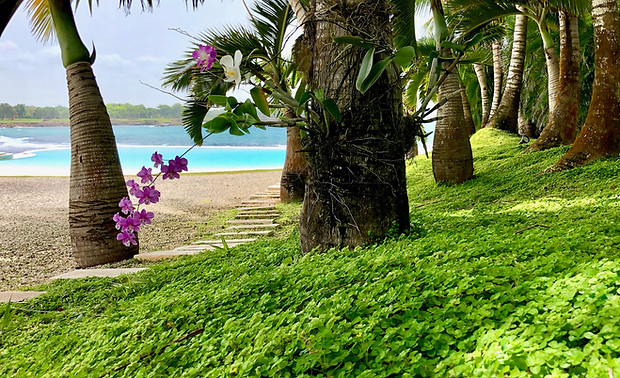 Francisco Aybar Landscaping & Property Management Services, Casa de Campo, La Romana, Santo Domingo