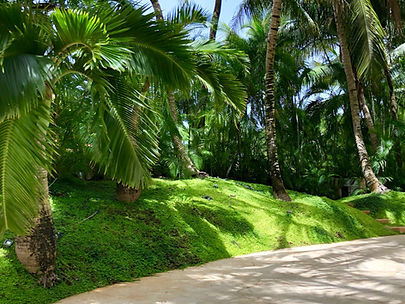 Francisco Aybar Landscaping & Property Management Services, Casa de Campo, La Romana, Santo Domingo