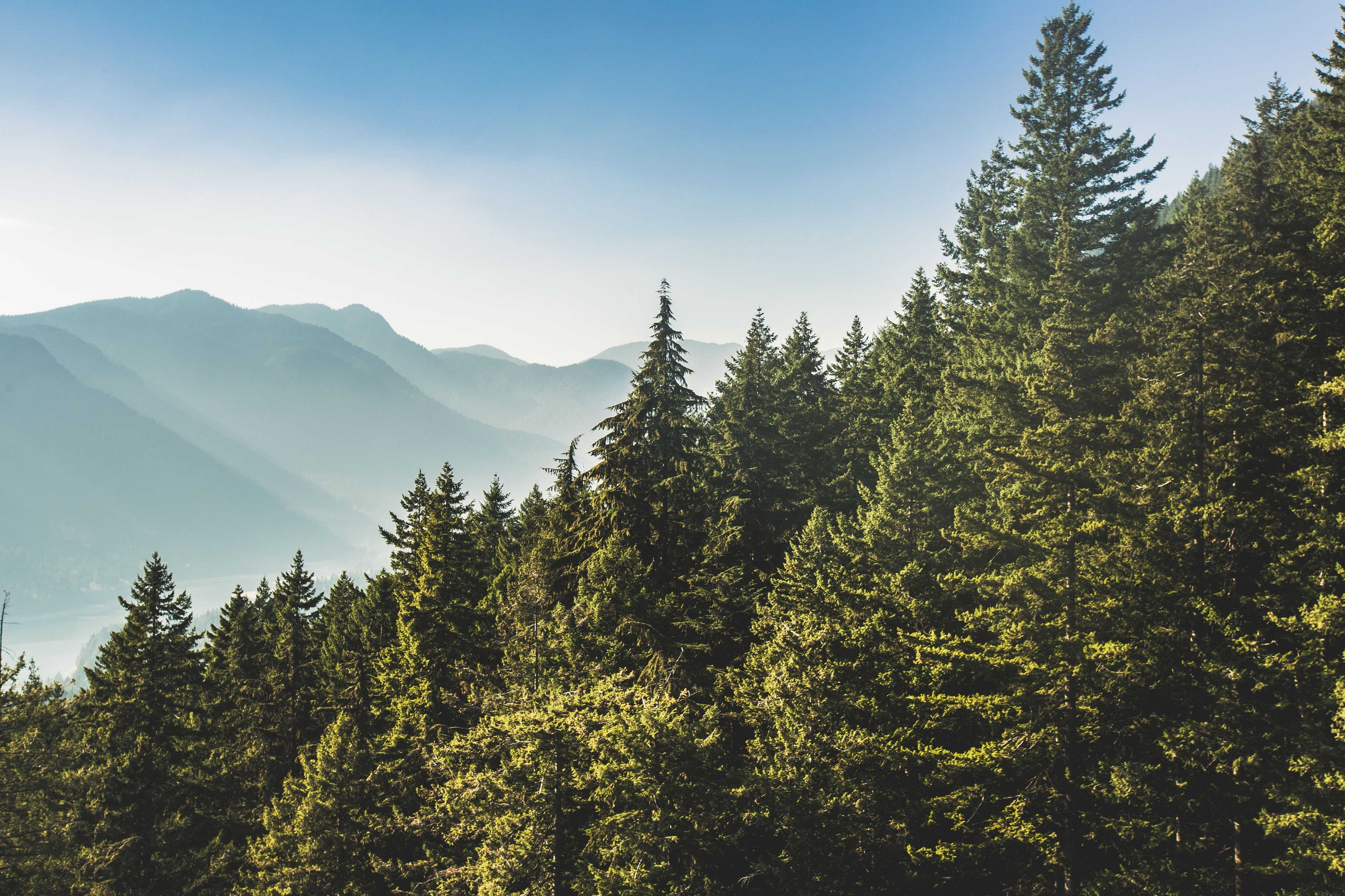 Preservation picture.jpg