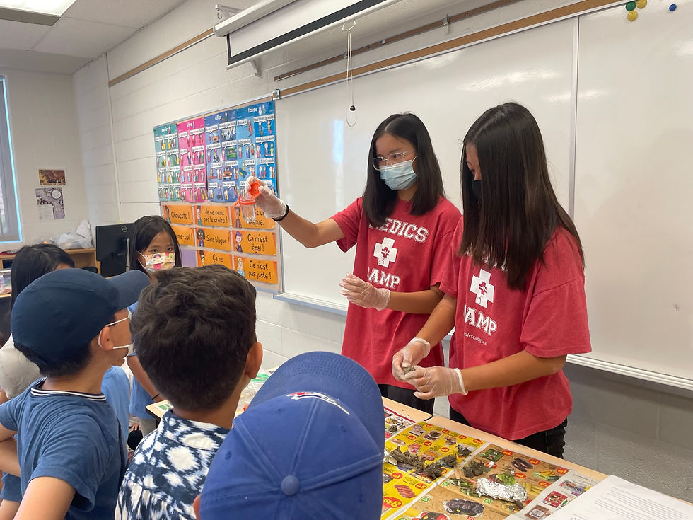 owl pellet counselor show.JPEG