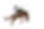 Adobe Express - file (37).png