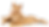closeup-shot-one-ginger-cat-hugging-licking-other