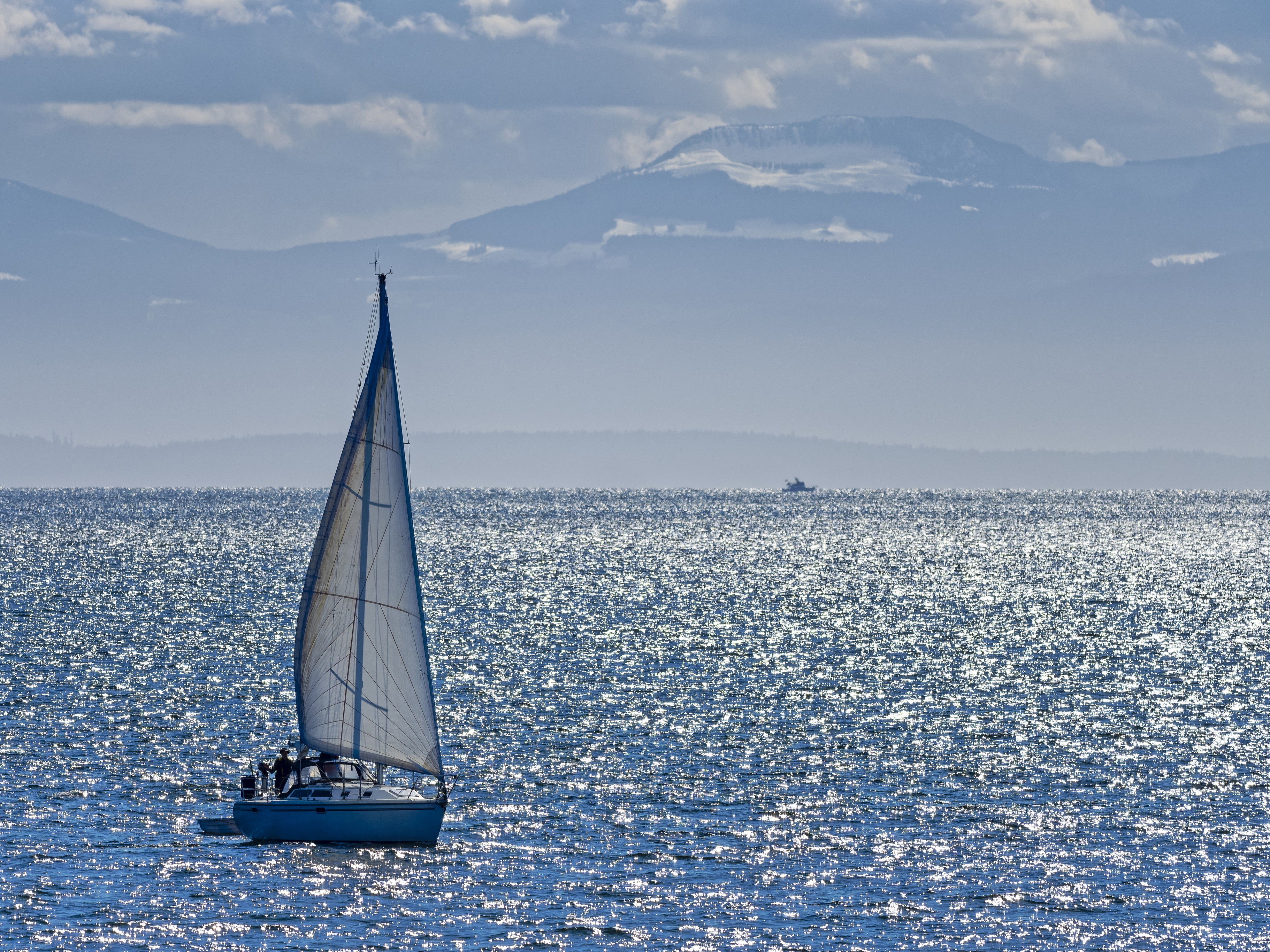 Succession picture.jpg