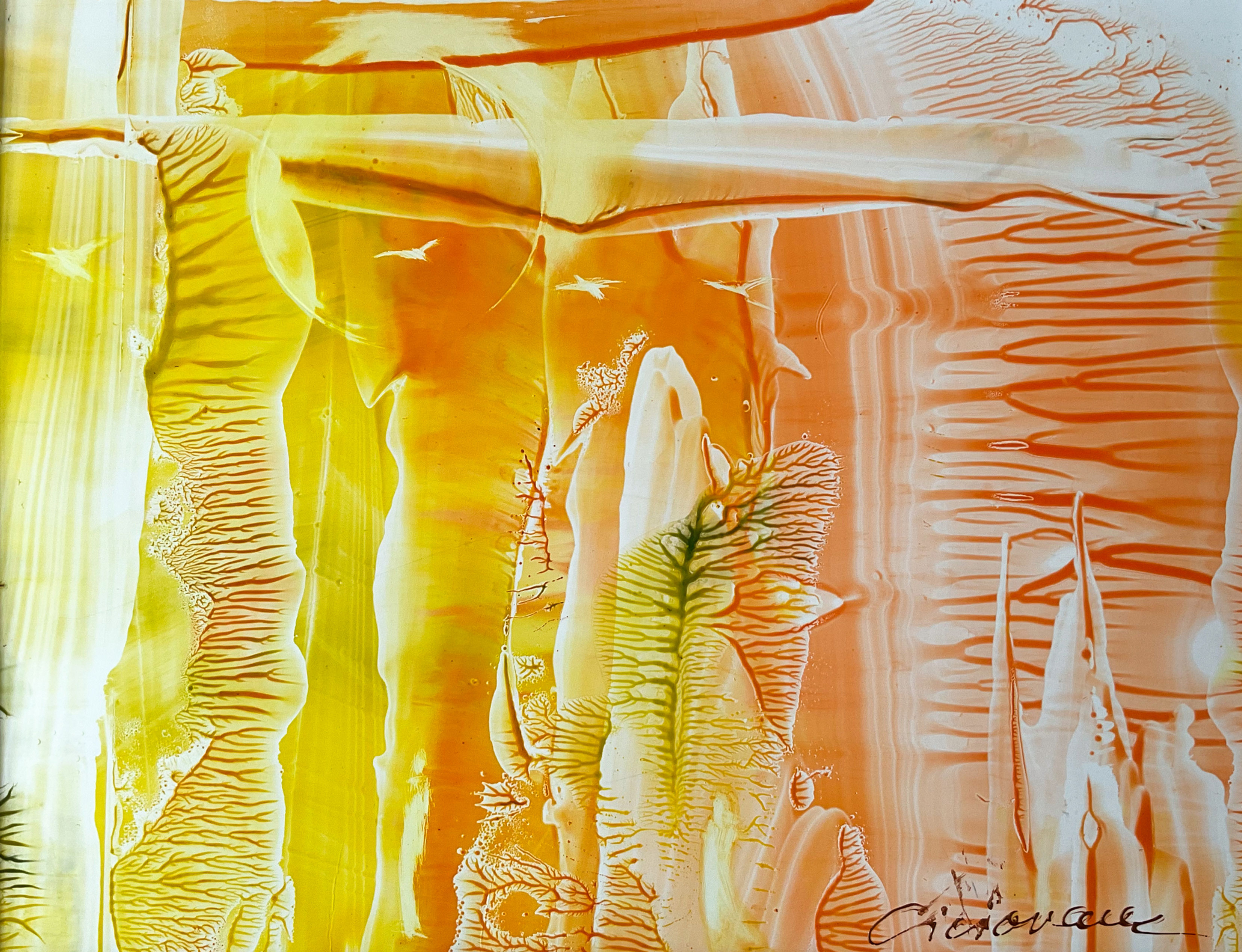 Gazing at the beauty of the world 5