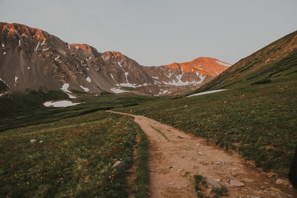 Torrey Peak 14er 3.jpg