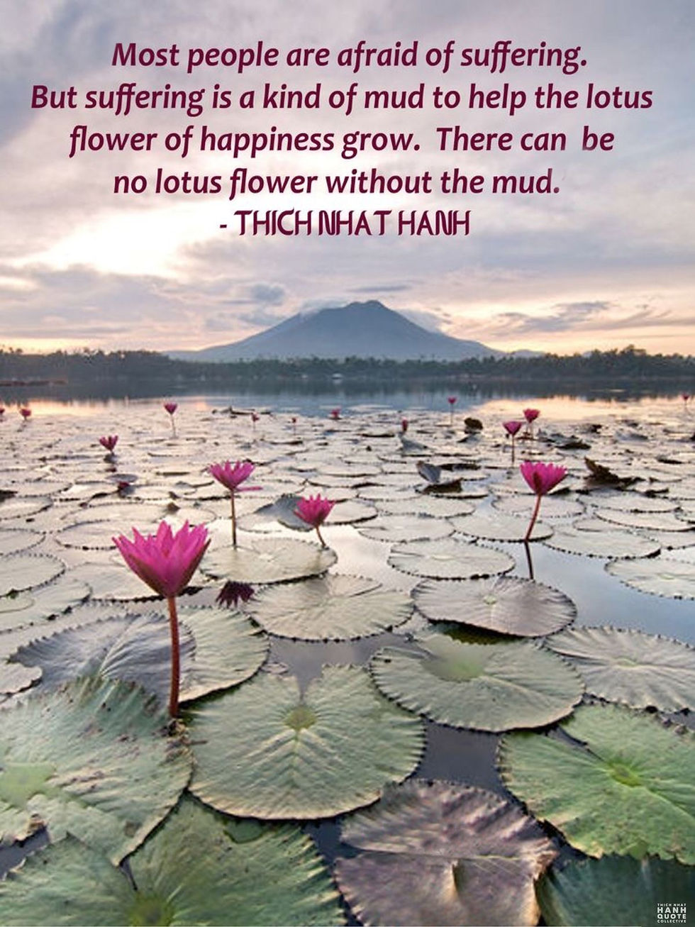 Thich Nhat Hanh - Quote 'No Mud. No Lotus'